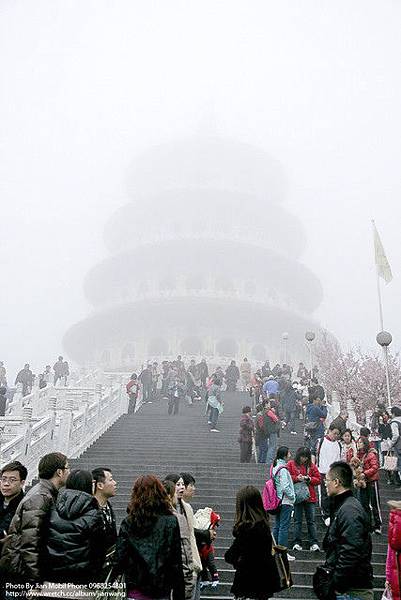 小惡魔老師的在地記實-淡水三芝天元宮櫻花 