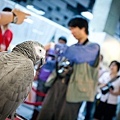 2012 台北國際攝影器材大展-Day4- 寶貝寵物怎麼拍才可愛