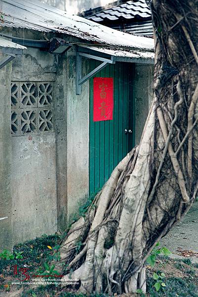 華納東區街拍