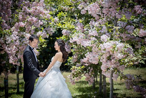 婚紗攝影棚:台北婚紗,台中婚紗,高雄婚紗,台南婚紗,桃園婚紗,新竹婚紗