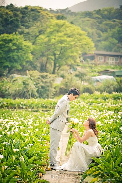 自助婚紗工作室,自助婚紗推薦,自助婚紗價格,自助婚紗台北,自助婚紗 台北,自助婚紗北部,自助婚紗 北部,台北 自助婚紗,台北自助婚紗,自助婚紗 推薦