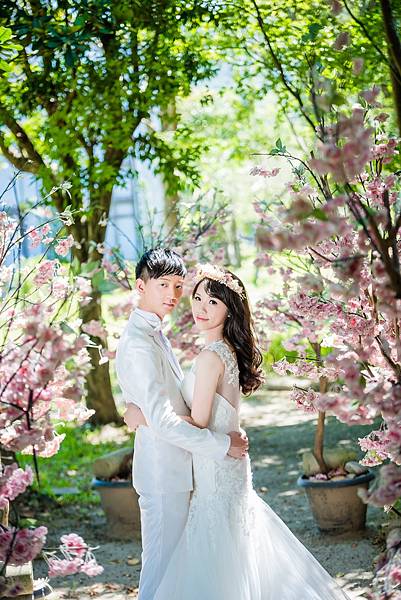 推薦 婚紗攝影,婚紗攝影台灣,台灣婚紗攝影,推薦 婚紗攝影,台北婚紗攝影推薦,台南婚紗攝影,高雄婚紗攝影,中壢婚紗攝影,婚紗攝影 高雄,婚紗攝影 新竹,婚紗攝影 中壢 推薦 婚紗攝影,婚紗攝影台灣,台灣婚紗攝影,推薦 婚紗攝影,台北婚紗攝影推薦,台南婚紗攝影,高雄婚紗攝影,中壢婚紗攝影,婚紗攝影 高雄,婚紗攝影 新竹,婚紗攝影 中壢