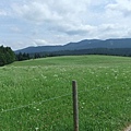 DSCF4574.JPG