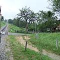 DSCF5350.JPG
