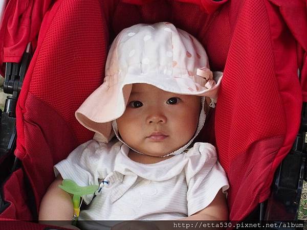 S6070104.JPG S6070104.JPG