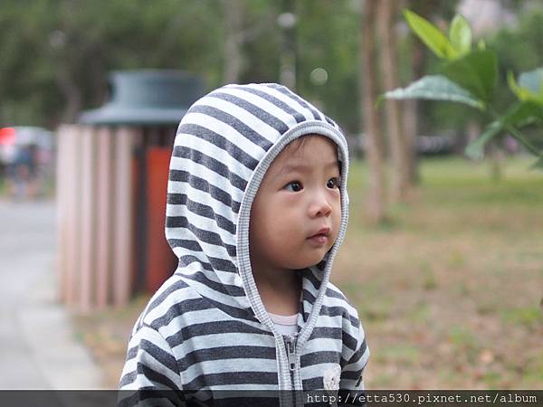 SA240250.JPG SA240250.JPG