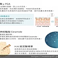 自然美白茶系列成分2.jpg