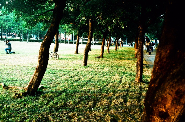 83160001.JPG