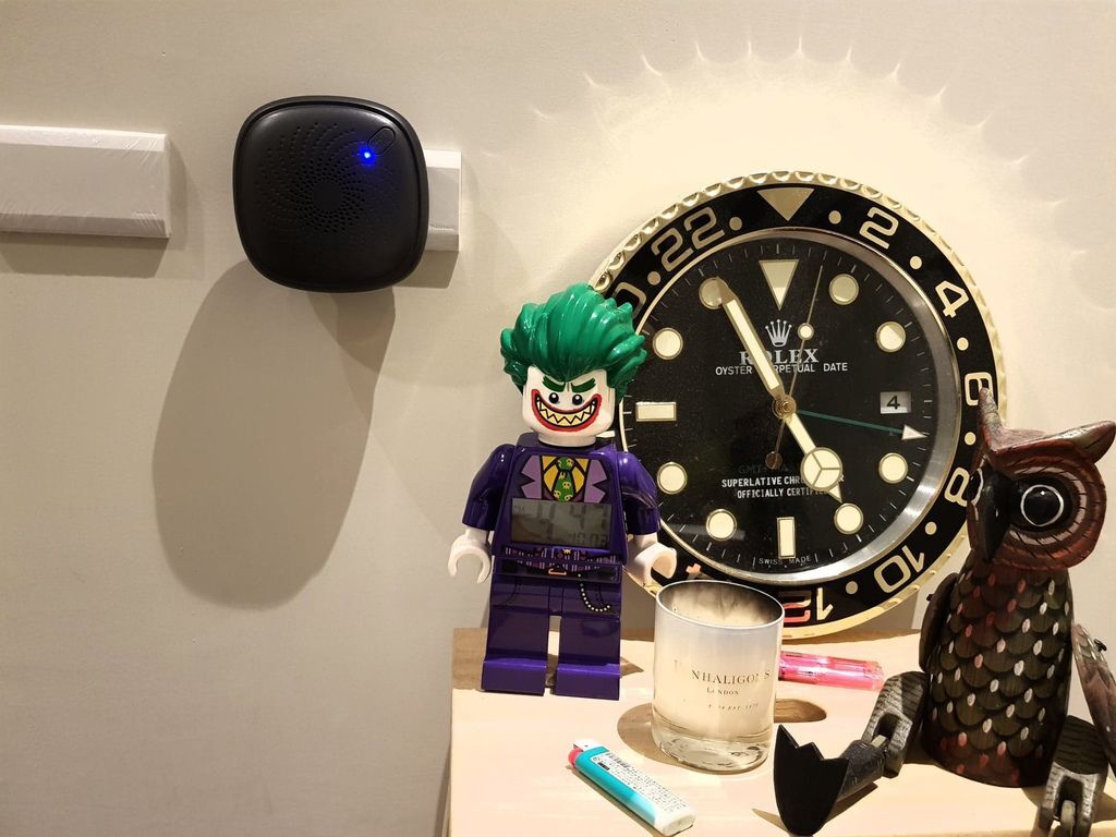 92443114_224708071936713_2131391960320049152_n.jpg 92443114_224708071936713_2131391960320049152_n.jpg