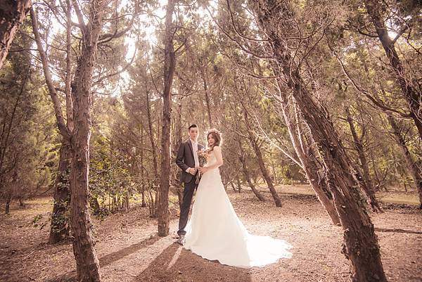 vDSC_2196.jpg vDSC_2196.jpg