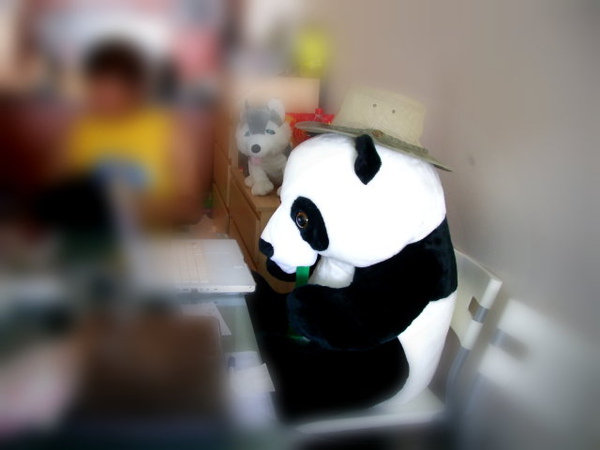 panda01.jpg
