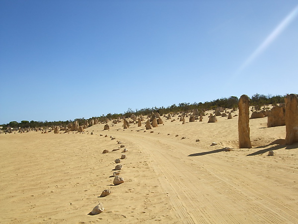 Pinnacles Desert (1).JPG