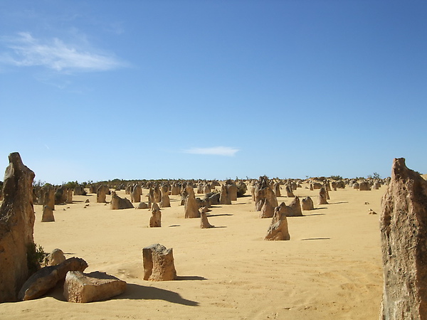 Pinnacles Desert (2).JPG