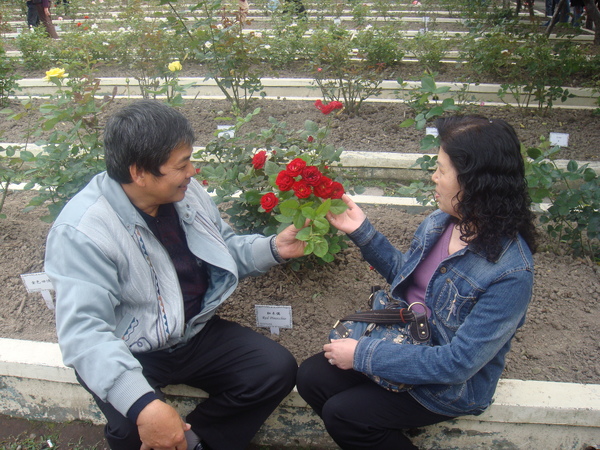 要欣賞花