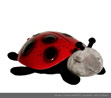 ladybug.bmp