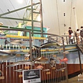 魚-蘭陽博物館