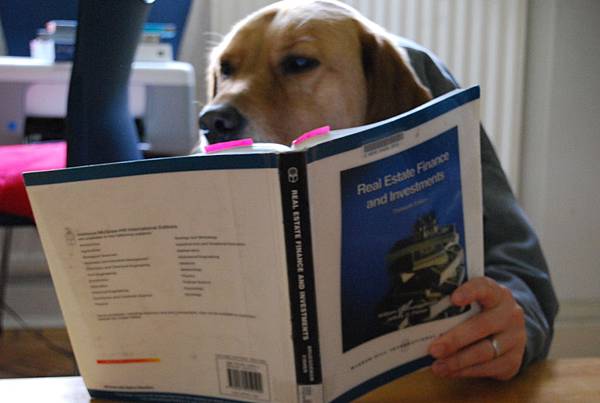 Hector studies Finance.JPG