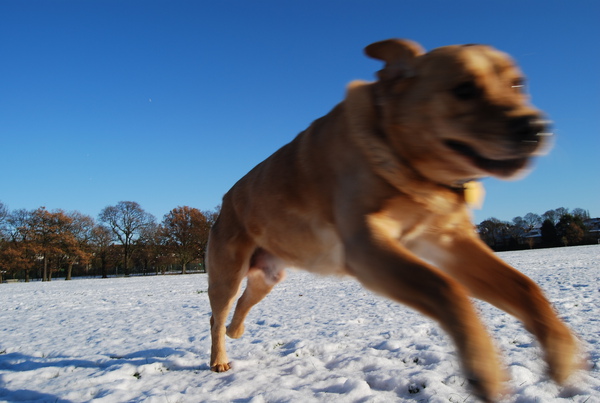 DSC_0162.JPG DSC_0162.JPG