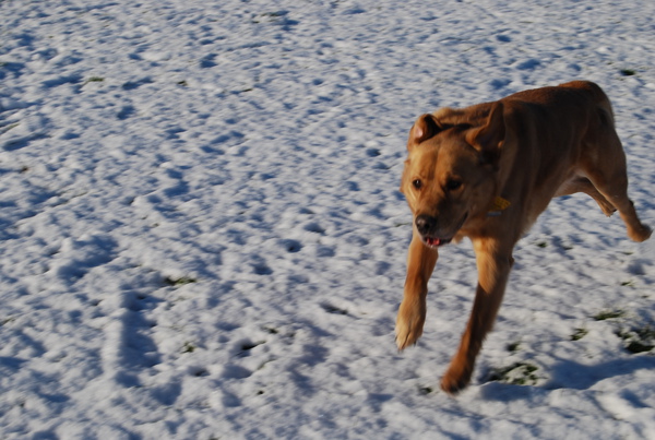 DSC_0116.JPG DSC_0116.JPG