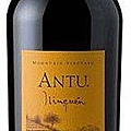 Antu Cabernet Sauvignon Carmenere