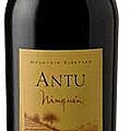 Antu Ninquen Cabernet Sauvignon