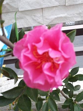 20131231_064310.jpg 20131231_064310.jpg