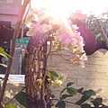 20140201_071952.jpg