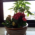 20140201_072213.jpg