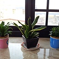 20140201_072227.jpg