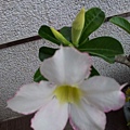 20140411_064252.jpg