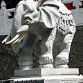 彰化八卦山之大象3.JPG