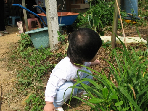 湘湘一歲四個月到五個月 021.jpg