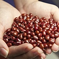 red-beans-587592_960_720.jpg