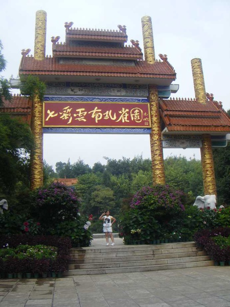 照片 295.jpg