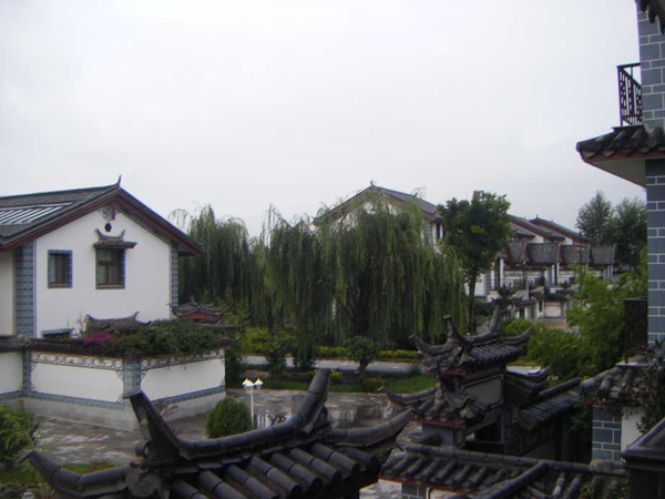 照片 541.jpg