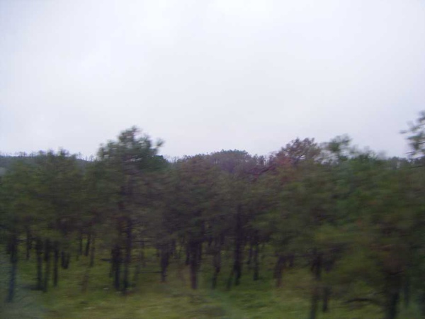 照片 552.jpg