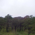 照片 552.jpg