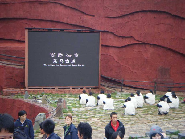 照片 557.jpg