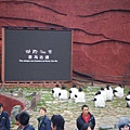 照片 557.jpg