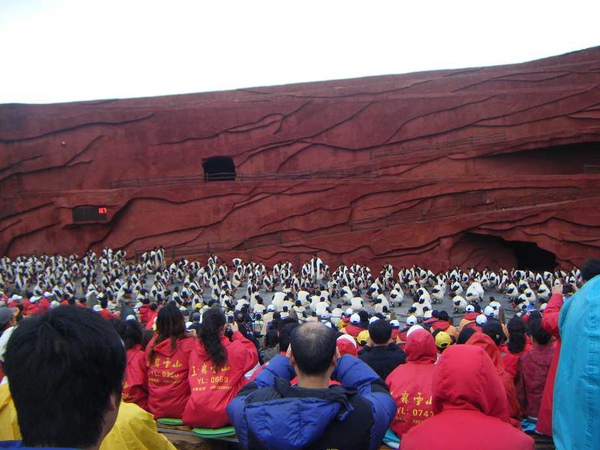 照片 560.jpg