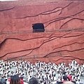照片 561.jpg