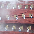 照片 570.jpg