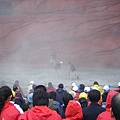 照片 575.jpg