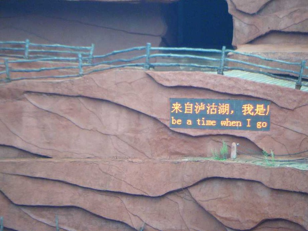 照片 585.jpg