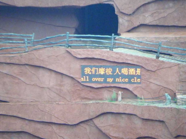 照片 587.jpg