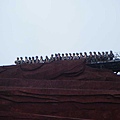 照片 611.jpg