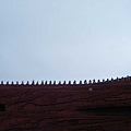 照片 632.jpg