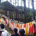 照片 652.jpg