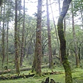 照片 653.jpg