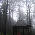 照片 675.jpg